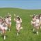 NMB48 – Mousou Girlfriend pv.mp4