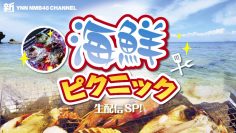 220521 Shin YNN NMB48 CHANNEL – Seafood Picnic – HD.mp4-00006